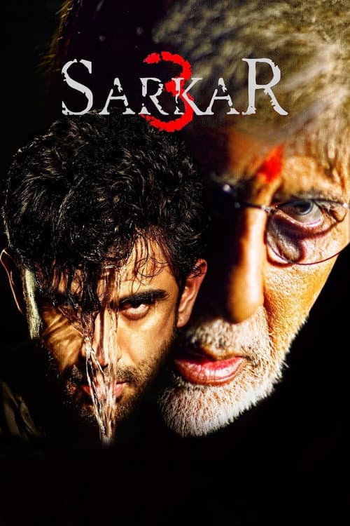 Babanın Izinden 3 ./Sarkar 3 afişi