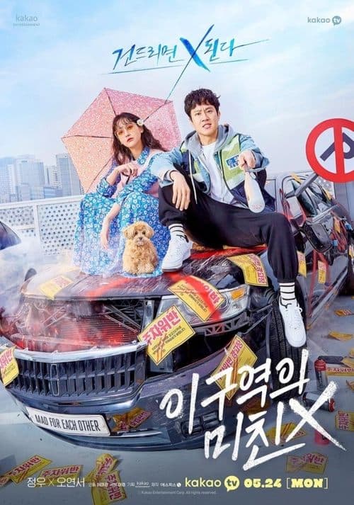 이 구역의 미친 X afişi