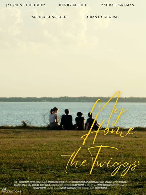 My Home: The Twiggs afişi