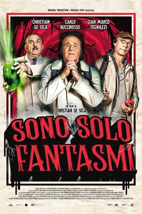 Sono solo fantasmi afişi