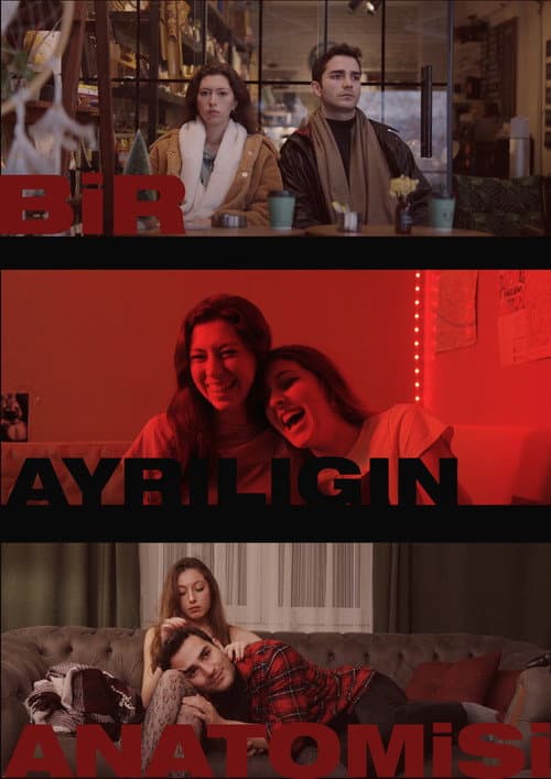 Bir Ayrılığın Anatomisi afişi