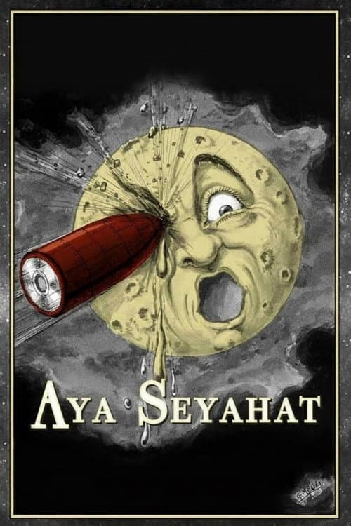 Aya Seyahat afişi