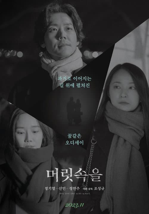 머릿속을 afişi
