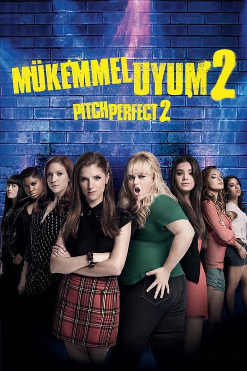 Mükemmel Uyum 2 afişi