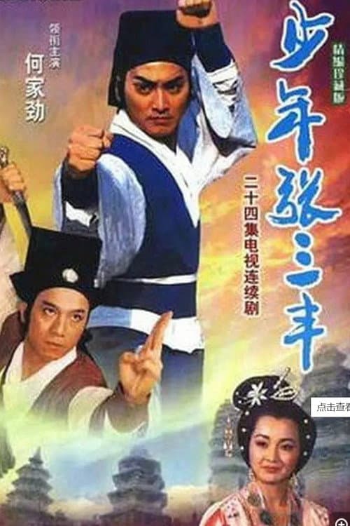少年張三豐 afişi