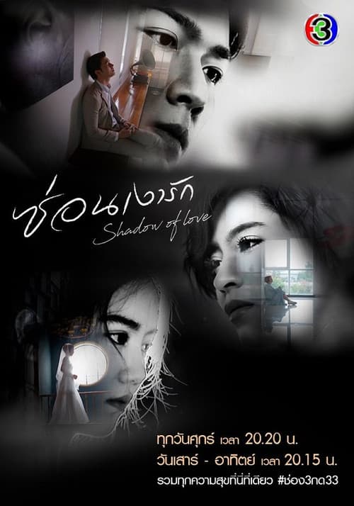 ซ่อนเงารัก afişi
