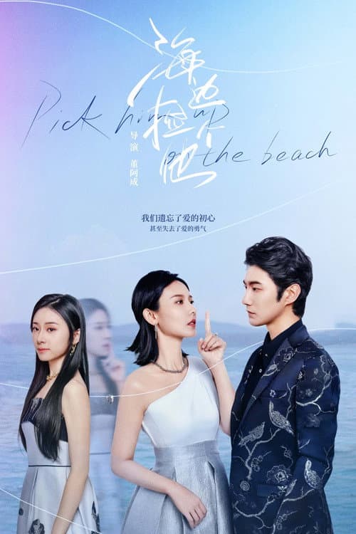 海边捡个他 afişi