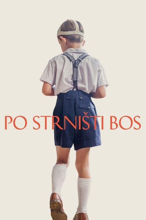 Po strništi bos afişi
