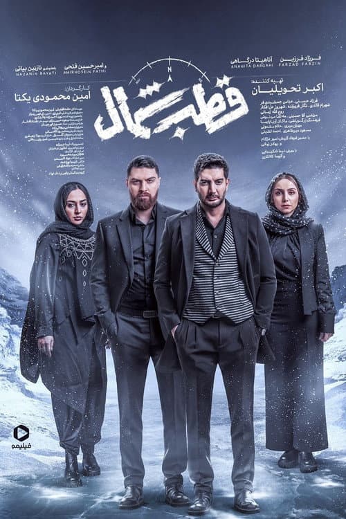قطب شمال afişi