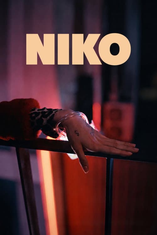 NIKO afişi
