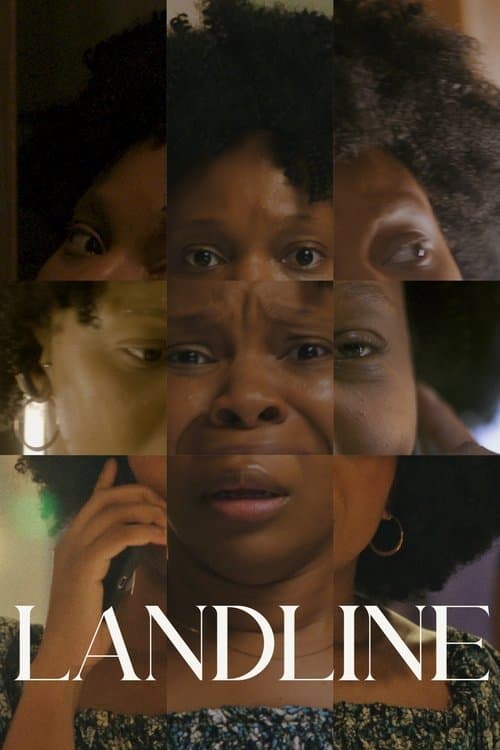 Landline afişi
