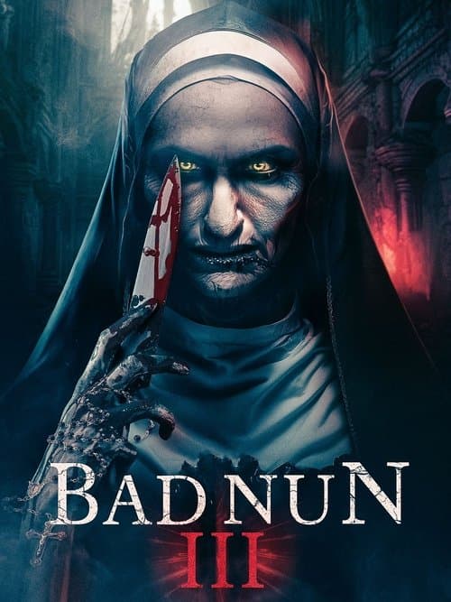 The Bad Nun 3 afişi