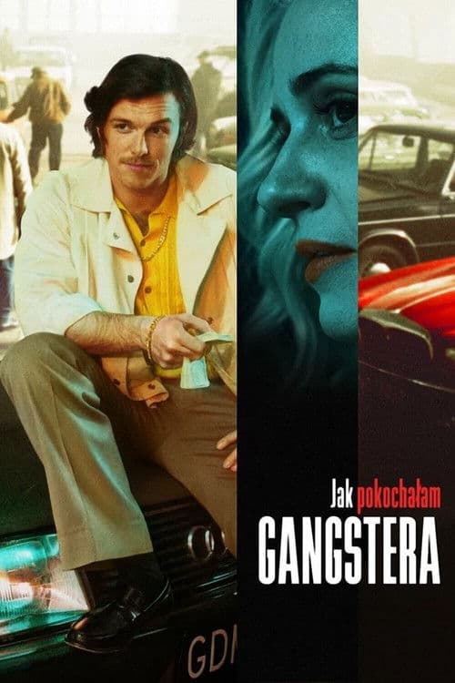 Bir Gangstere Nasıl Aşık Oldum? afişi