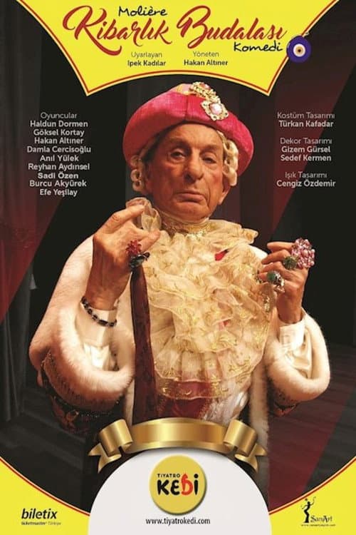Kibarlık Budalası afişi