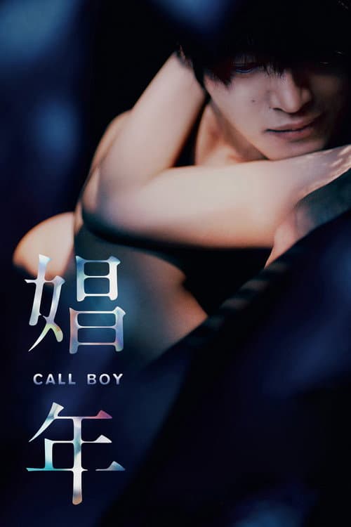 Call Boy afişi