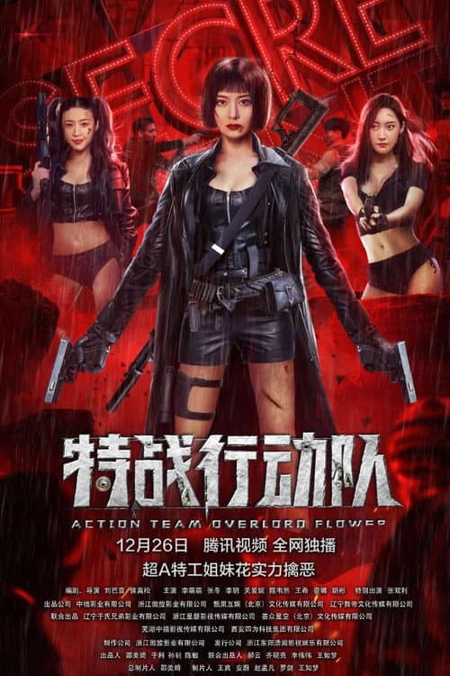特战行动队 afişi