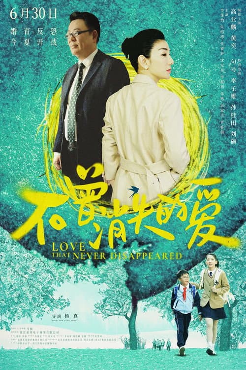 不曾消失的爱 afişi