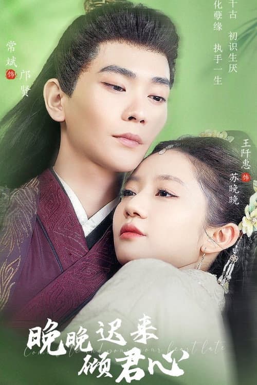 晚晚迟来倾君心 afişi