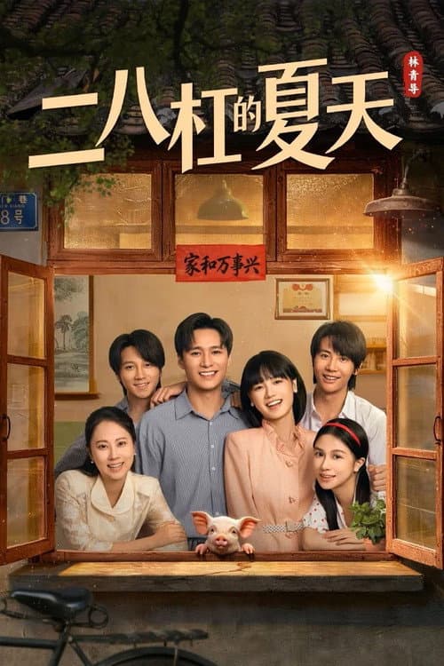 二八杠的夏天 afişi