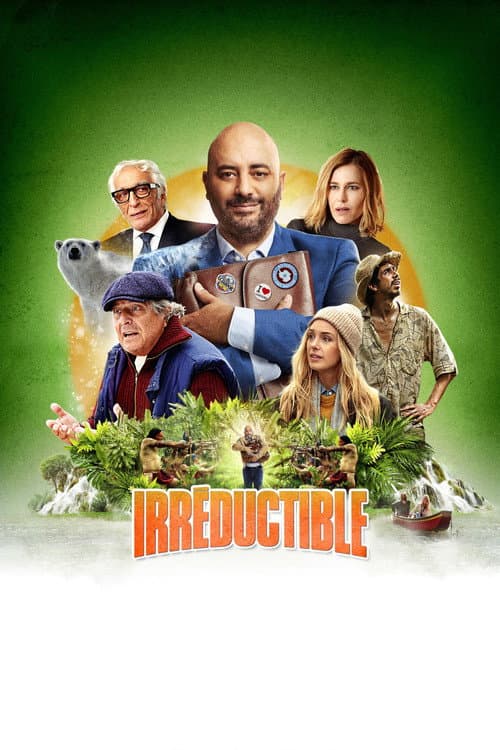 Irréductible afişi