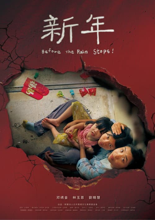 新年 afişi