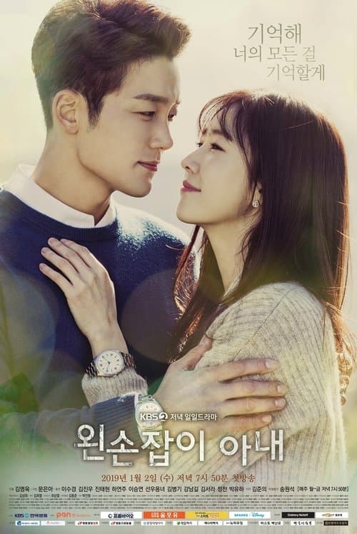 왼손잡이 아내 afişi