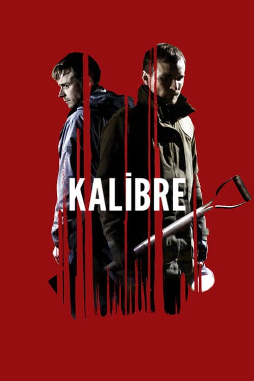 Kalibre afişi