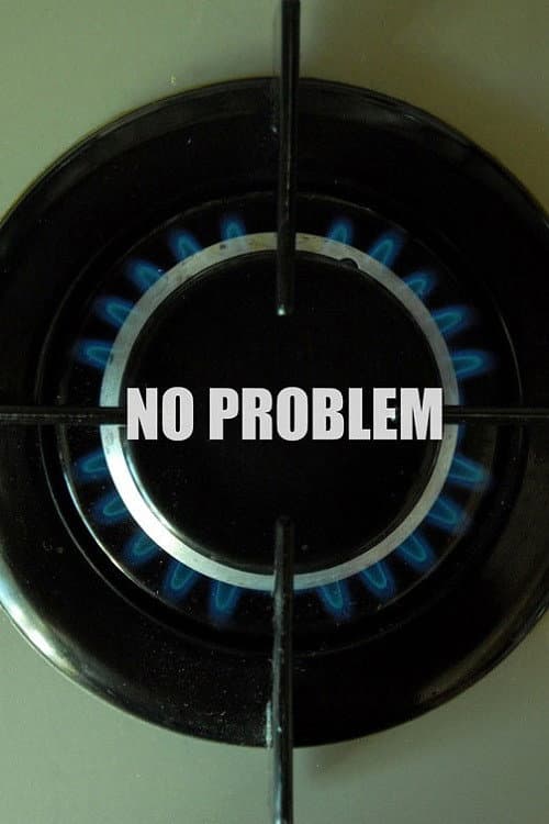 No Problem afişi