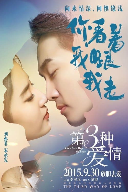 第三种爱情 afişi