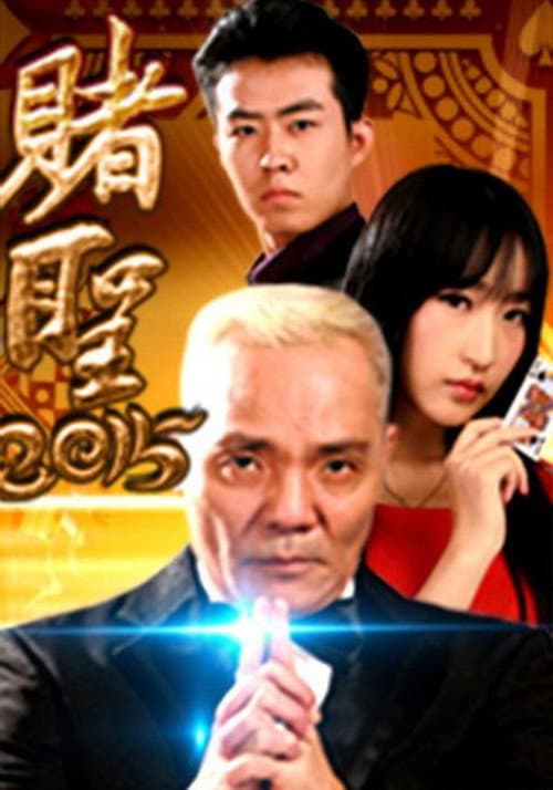 赌圣2015 afişi