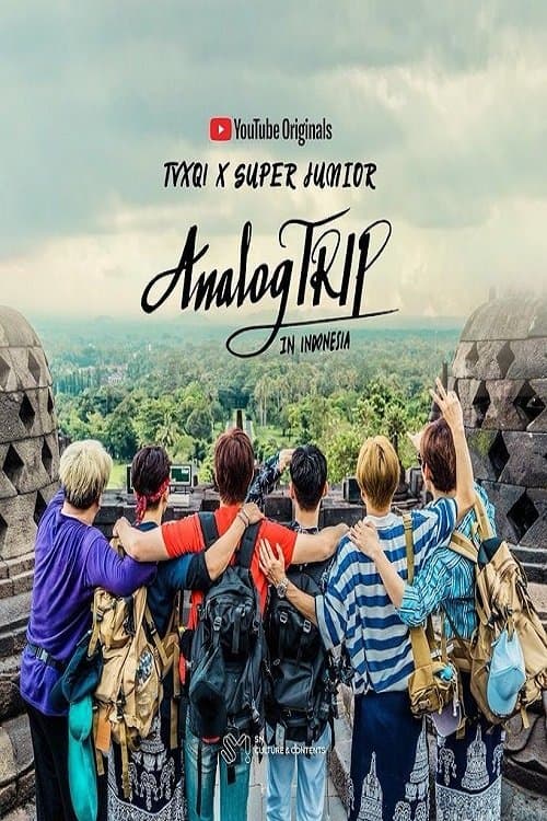 Analog Trip afişi