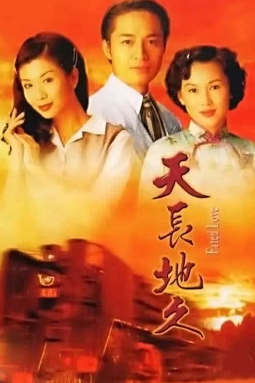 天長地久 afişi
