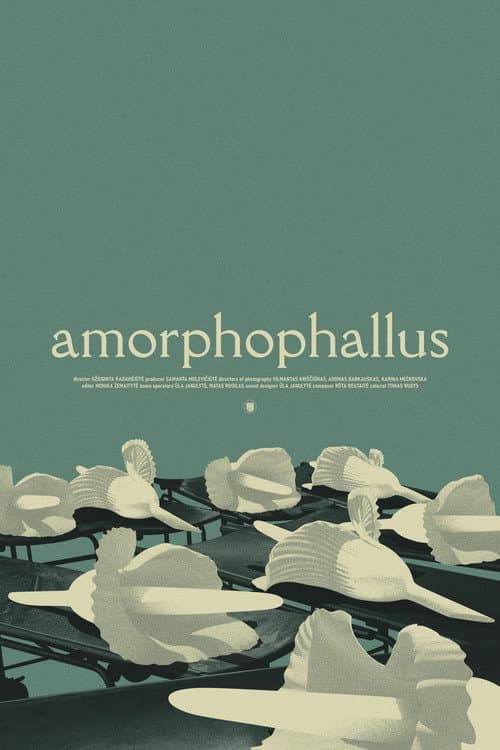 Amorfofalas afişi