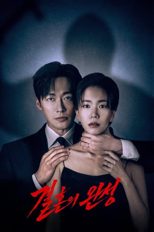 결혼의 완성 afişi