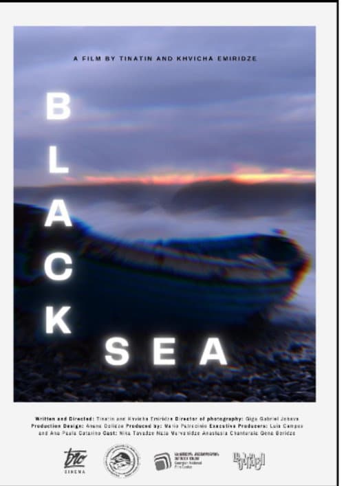 Black Sea afişi