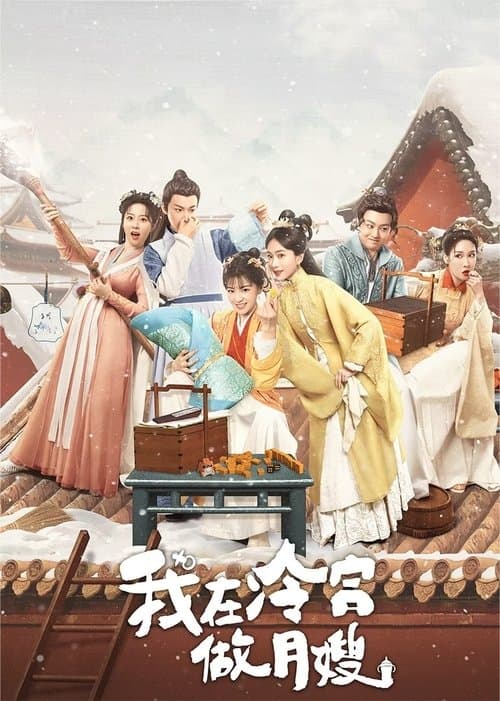 我在冷宫做月嫂 afişi