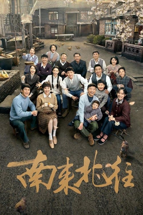 南来北往 afişi