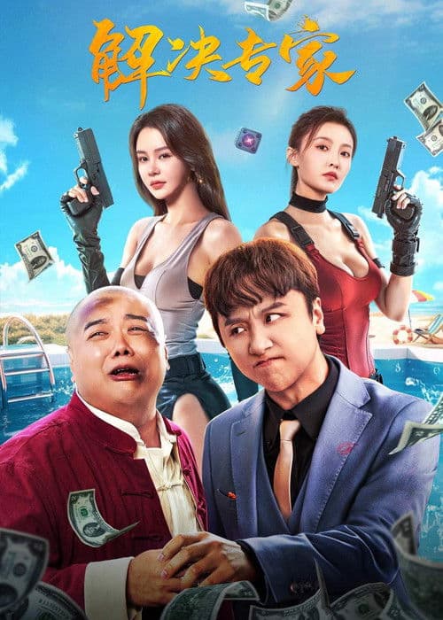 解决专家 afişi