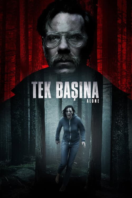 Tek Başına afişi