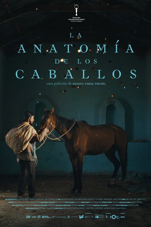 La anatomía de los caballos afişi