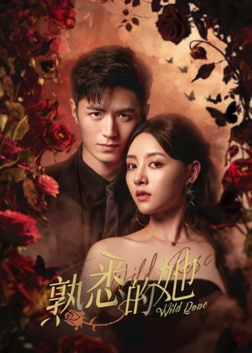 熟悉的她 afişi