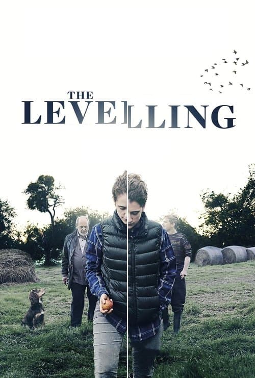 The Levelling afişi