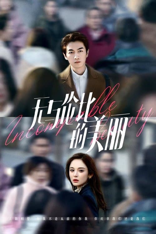 无与伦比的美丽 afişi