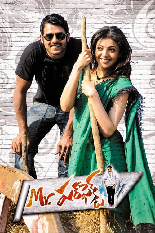 Mr. పర్‌ఫెక్ట్ afişi