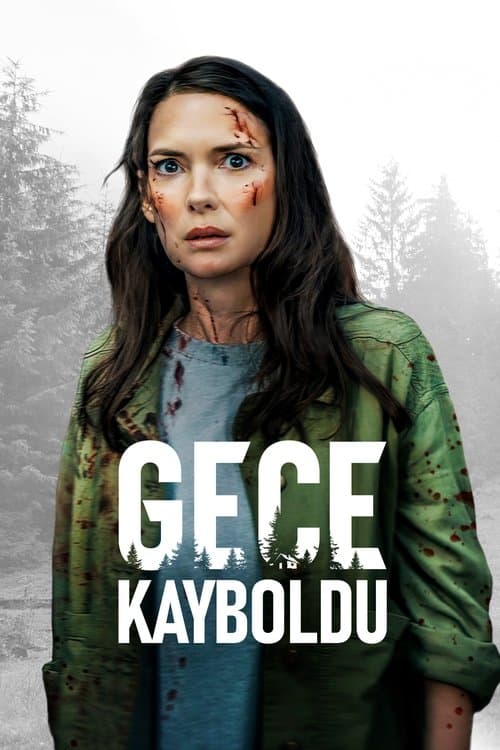 Gece Kayboldu afişi