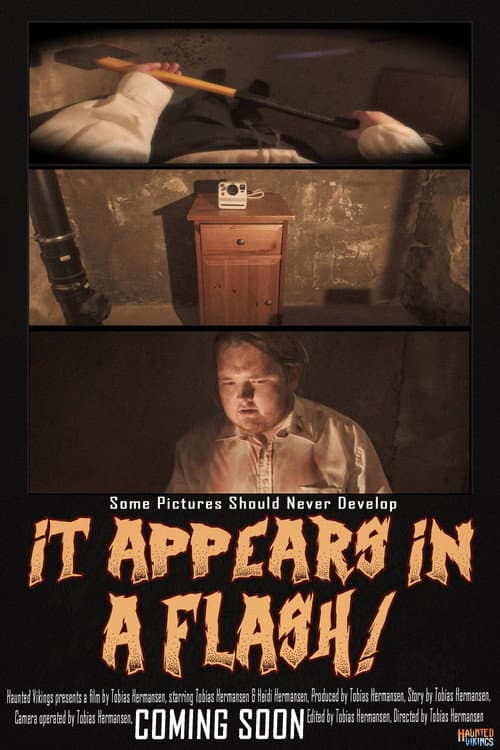 It Appears in a Flash! afişi