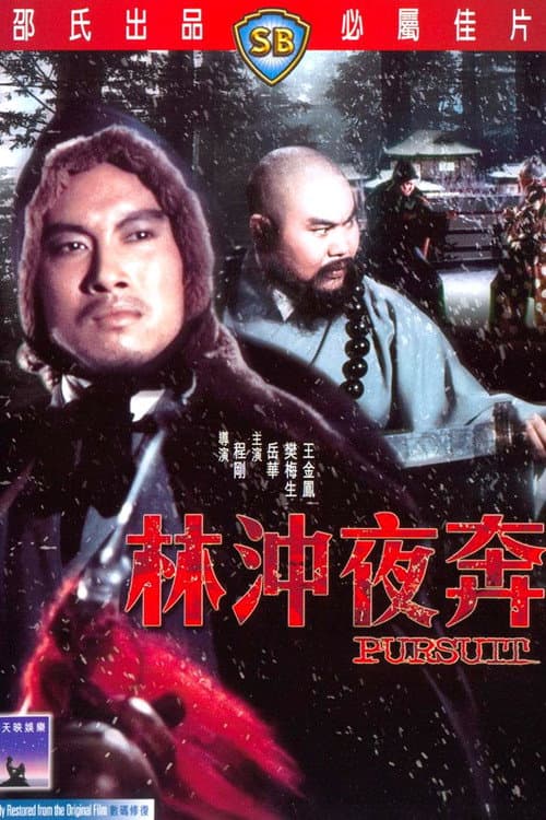 林沖夜奔 afişi