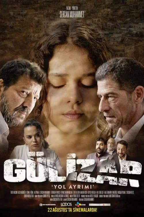 Gülizar Yol Ayrımı afişi