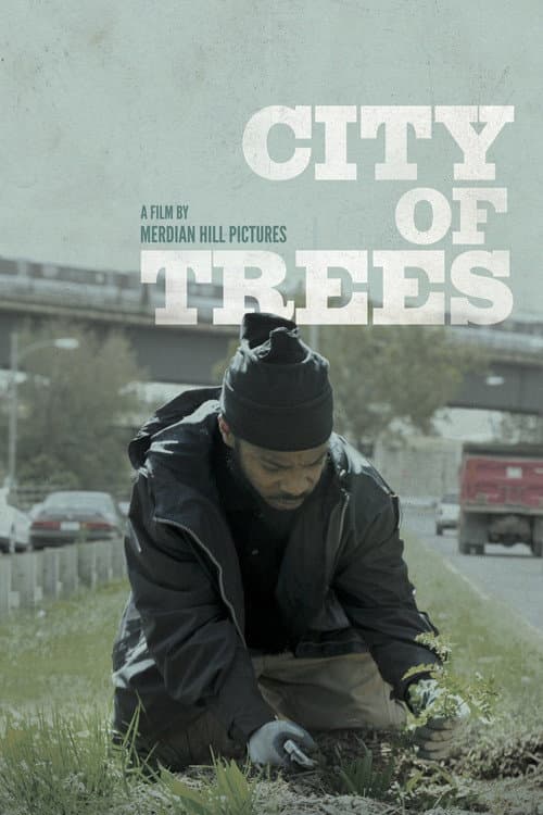 City of Trees afişi