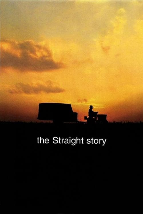 Straight'in Hikayesi afişi